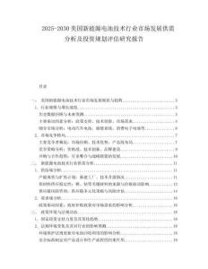 2025-2030美国新能源电池技术行业市场发展供需分析及投资规划评估研究报告