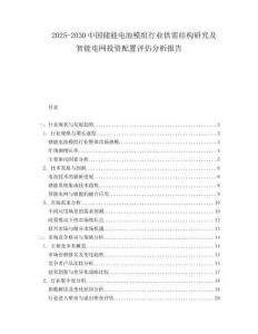 2025-2030中國儲能電池模組行業(yè)供需結(jié)構(gòu)研究及智能電網(wǎng)投資配置評估分析報告