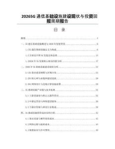20265G通信基礎(chǔ)設(shè)施建設(shè)現(xiàn)狀與投資回報(bào)周期報(bào)告