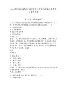 2026年來賓市興賓區(qū)高安鄉(xiāng)人民政府招聘編外工作人員備考題庫有答案詳解