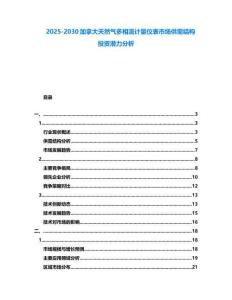 2025-2030加拿大天然氣多相流計量儀表市場供需結構投資潛力分析