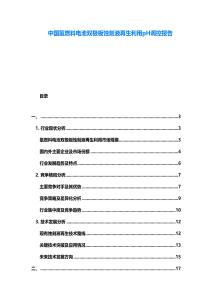 中國氫燃料電池雙極板蝕刻液再生利用pH調控報告