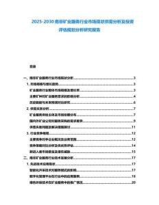 2025-2030南非礦業服務行業市場現狀供需分析及投資評估規劃分析研究報告