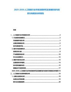 2025-2030人工智能行業(yè)市場(chǎng)深度研究及發(fā)展階段與投資方向規(guī)劃分析報(bào)告