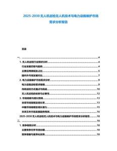 2025-2030無(wú)人機(jī)巡檢無(wú)人機(jī)技術(shù)與電力設(shè)施維護(hù)市場(chǎng)需求分析報(bào)告