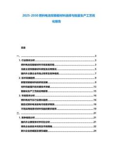 2025-2030燃料電池雙極板材料選擇與批量生產(chǎn)工藝優(yōu)化報告