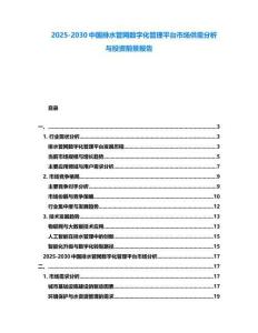 2025-2030中國排水管網數字化管理平臺市場供需分析與投資前景報告