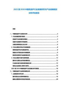 2025至2030中國高溫爐行業發展研究與產業戰略規劃分析評估報告