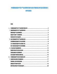 中國氫能源汽車產(chǎn)業(yè)政策環(huán)境與技術(shù)路線分析及投資潛力研究報告