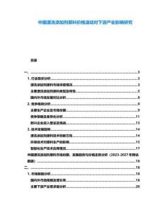 中国漂洗添加剂原料价格波动对下游产业影响研究