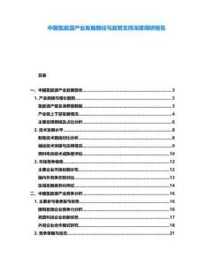 中國氫能源產業發展路徑與政策支持深度調研報告
