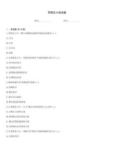 荒野乱斗测试题