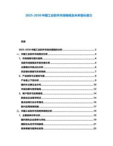 2025-2030中國工業軟件市場格局及未來增長潛力