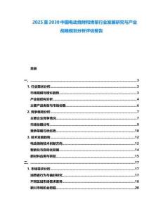 2025至2030中國電動燒烤和烤架行業發展研究與產業戰略規劃分析評估報告