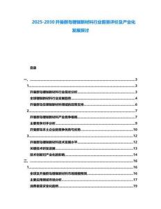 2025-2030開曼群島鋰銣新材料行業(yè)前景評價及產(chǎn)業(yè)化發(fā)展探討