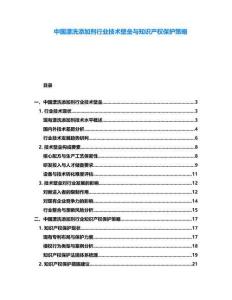 中國漂洗添加劑行業(yè)技術壁壘與知識產(chǎn)權保護策略