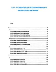 2025-2030捷克半導體行業市場應用領域政策扶持產業基礎競爭態勢評估發展分析前廣