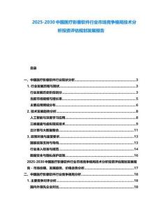 2025-2030中國醫療影像軟件行業市場競爭格局技術分析投資評估規劃發展報告