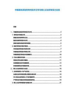中國漂洗添加劑專利技術分布與核心企業(yè)研發(fā)實力比較