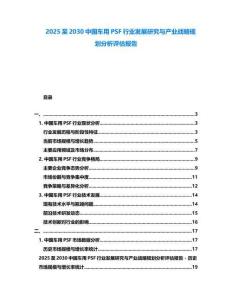 2025至2030中國車用PSF行業發展研究與產業戰略規劃分析評估報告