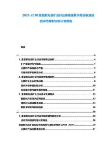 2025-2030圭亞那先進(jìn)礦業(yè)行業(yè)市場現(xiàn)狀供需分析及投資評(píng)估規(guī)劃分析研究報(bào)告