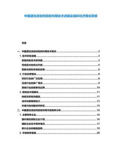 中国漂洗添加剂回收利用技术进展及循环经济模式探索