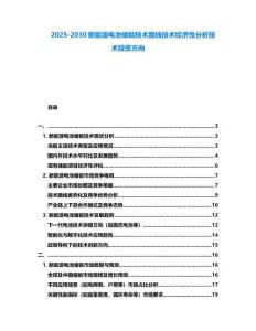 2025-2030新能源電池儲(chǔ)能技術(shù)路線技術(shù)經(jīng)濟(jì)性分析技術(shù)投資方向