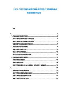 2025-2030可再生能源市場全面研究及行業發展趨勢與投資策略研究報告
