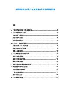 中国漂洗助剂企业ESG表现评估与可持续发展战略