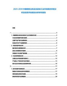 2025-2030中国钢铁冶炼及压延加工业市场现状供需分析及投资评估规划分析研究报告