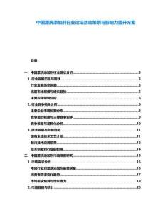 中国漂洗添加剂行业论坛活动策划与影响力提升方案