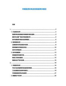 中国氢燃料电池双极板降本路径