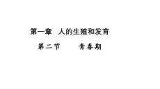 4.1.2青春期+课件-2025-2026学年人教版生物七年级下册