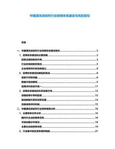 中國漂洗添加劑行業信用體系建設與風險管控