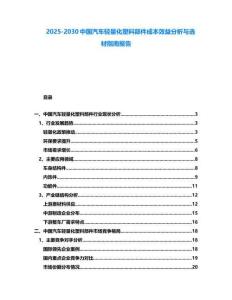 2025-2030中國汽車輕量化塑料部件成本效益分析與選材指南報告