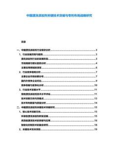 中國漂洗添加劑關鍵技術突破與專利布局戰略研究