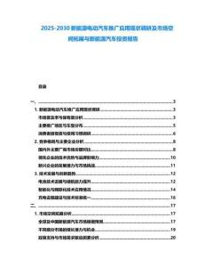2025-2030新能源电动汽车推广应用现状调研及市场空间拓展与新能源汽车投资报告
