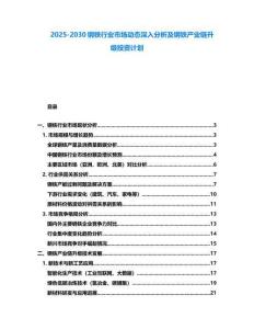 2025-2030钢铁行业市场动态深入分析及钢铁产业链升级投资计划