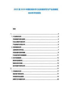 2025至2030中國輪椅扶手行業(yè)發(fā)展研究與產(chǎn)業(yè)戰(zhàn)略規(guī)劃分析評估報告