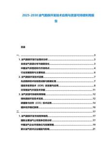 2025-2030油氣勘探開(kāi)發(fā)技術(shù)應(yīng)用與資源可持續(xù)利用報(bào)告