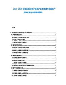 2025-2030石家莊地區電子信息產業市場潛力挖掘及產業鏈發展與應用策略報告