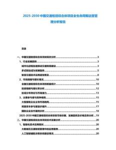 2025-2030中國交通樞紐綜合體項目全生命周期運營管理分析報告