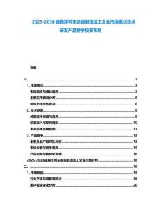 2025-2030磁悬浮列车系统制造加工企业市场现状技术研发产品竞争投资布局