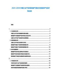 2025-2030中國(guó)工業(yè)氣體現(xiàn)場(chǎng)制氣模式與管道供氣經(jīng)濟(jì)性比較