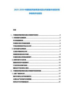 2025-2030中國智能駕駛用激光雷達(dá)傳感器市場(chǎng)現(xiàn)狀競(jìng)爭(zhēng)格局評(píng)估報(bào)告