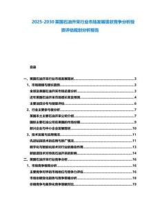 2025-2030英國石油開采行業市場發展現狀競爭分析投資評估規劃分析報告