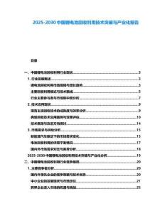 2025-2030中国锂电池回收利用技术突破与产业化报告