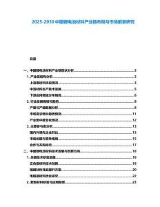2025-2030中國鋰電池材料產(chǎn)業(yè)鏈布局與市場前景研究