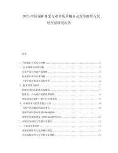2025中國煤礦開采行業市場營銷查及競爭組織與發展全景研究報告