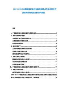 2025-2030中国能源行业的生物质能技术市场供需分析及投资评估规划分析研究报告